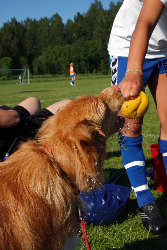 Arvika CUP 2009